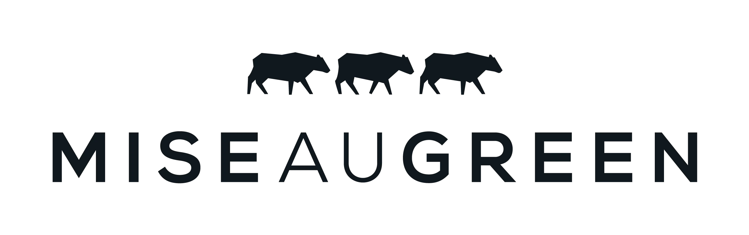 Mise au Green — référence Kappeler Enseignes